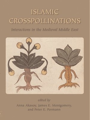 Islamic Crosspollinations 1