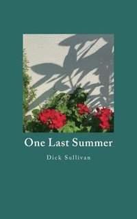bokomslag One Last Summer