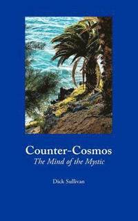 bokomslag Counter-Cosmos