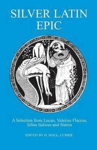bokomslag Silver Latin Epic