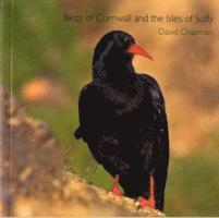 Birds of Cornwall and the Isles of Scilly