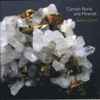 Cornish Rocks and Minerals