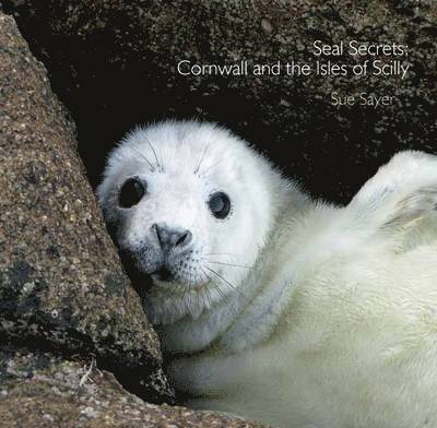 Sue Sayer - Seal Secrets, Häftad