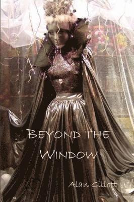 Alan Gillott, Pauline Kirk - Beyond the Window, Häftad