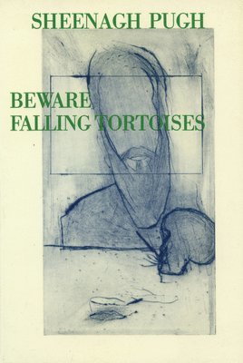 Beware Falling Tortoises 1