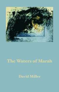 bokomslag The Waters of Marah