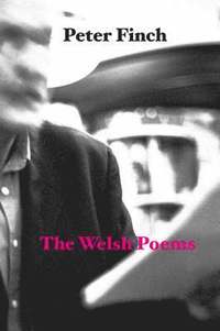 bokomslag The Welsh Poems