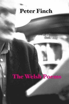 Peter Finch - Welsh Poems, Häftad