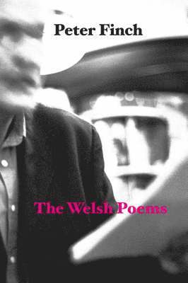 bokomslag The Welsh Poems