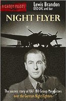 bokomslag Night Flyer