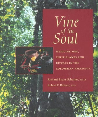 Vine of the Soul 1