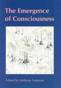 bokomslag Emergence of Consciousness