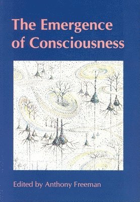 bokomslag Emergence of Consciousness