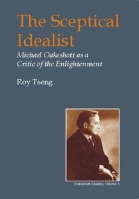 bokomslag Sceptical Idealist