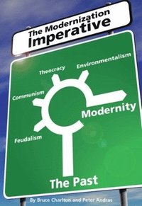 bokomslag Modernisation Imperative