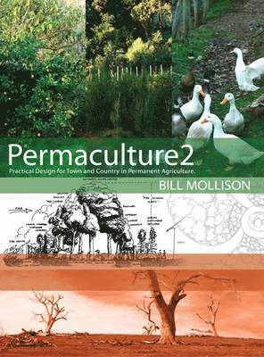 Permaculture Two