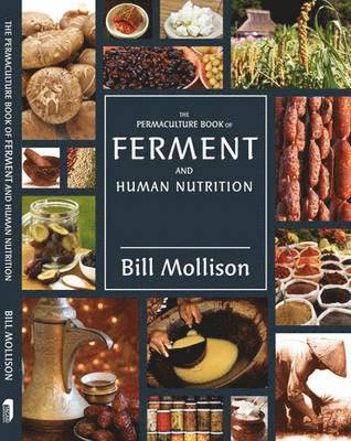 Permaculture Book of Ferment and Human Nutrition