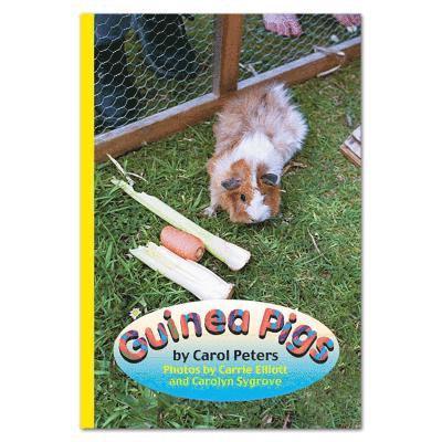 Guinea Pigs