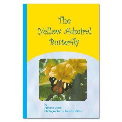 Yellow Admiral Butterfly 1