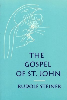 bokomslag The Gospel of St. John
