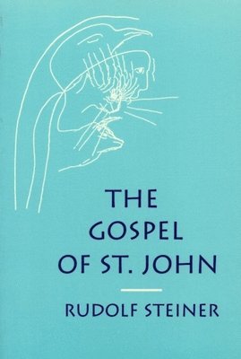 bokomslag The Gospel of St.John