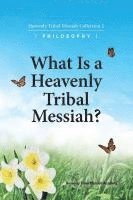 bokomslag What Is A Heavenly Tribal Messiah: Heavenly Tribal Messiah Collection 1