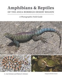 bokomslag Amphibians & Reptiles of the Anza-Borrego Desert Region: A Photographic Field Guide