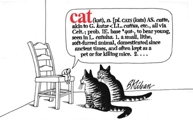 B. Kliban - Cat, Häftad
