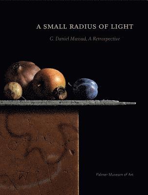 bokomslag Small Radius of Light