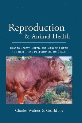 bokomslag Reproduction and Animal Health