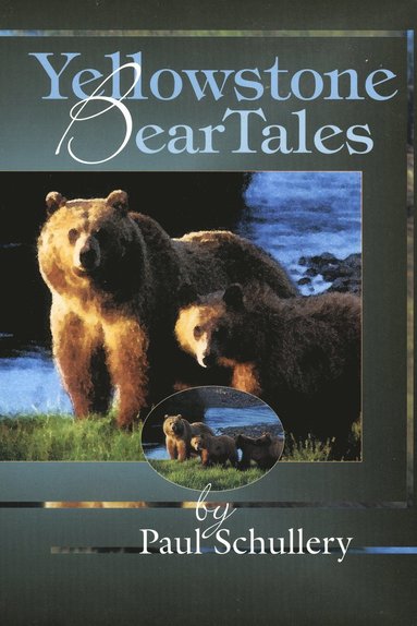 bokomslag Yellowstone Bear Tales