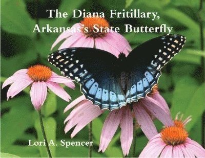 The Diana Fritillary, Arkansass State Butterfly 1