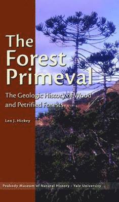 bokomslag The Forest Primeval: The Geologic History of Wood and Petrified Forests
