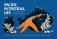 bokomslag Pacific Intertidal Life
