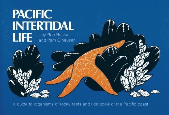 Pacific Intertidal Life 1