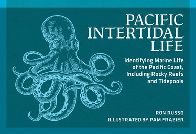 bokomslag Pacific Intertidal Life