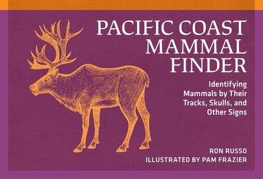 bokomslag Pacific Coast Mammal Finder: Identifying Mammals by Their Tracks, Skulls, and Other Signs