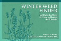 bokomslag Winter Weed Finder: Identifying Dry Plants of Central and Eastern North America