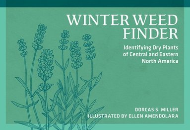bokomslag Winter Weed Finder