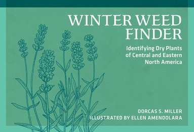 bokomslag Winter Weed Finder: Identifying Dry Plants of Central and Eastern North America