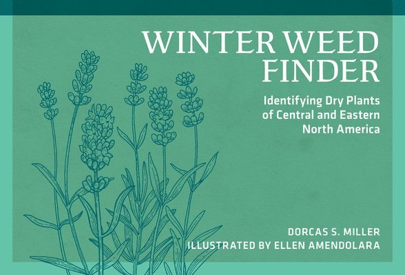 Winter Weed Finder: Identifying Dry Plants of Central and Eastern North America 1