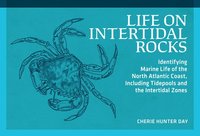 bokomslag Life on Intertidal Rocks: Identifying Marine Life of the North Atlantic Coast, Including Tidepools and the Intertidal Zones