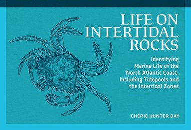 bokomslag Life on Intertidal Rocks