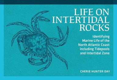 bokomslag Life on Intertidal Rocks: Identifying Marine Life of the North Atlantic Coast's Tidepools and Intertidal Zone