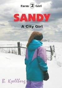 bokomslag Sandy