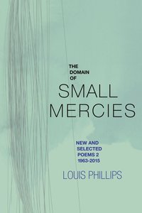 bokomslag The Domain of Small Mercies