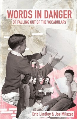 Eric Lindley, Joe Milazzo - Words in Danger of Falling out of the Vocabulary, Häftad