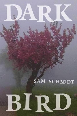 Sam Schmidt - Dark Bird, Häftad
