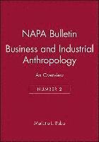 bokomslag Business and Industrial Anthropology