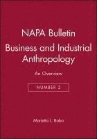 bokomslag Business and Industrial Anthropology